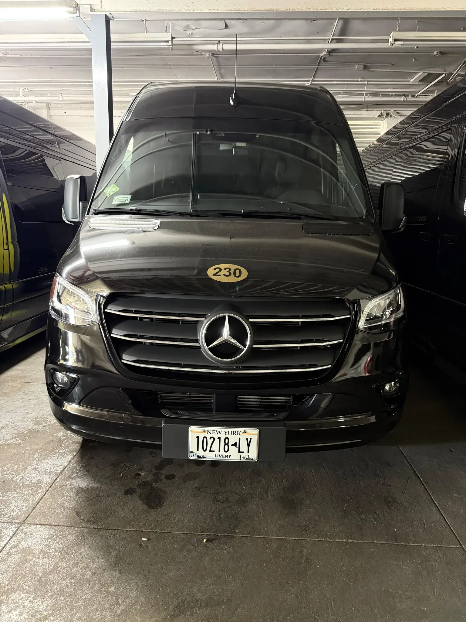 Golden Class Limo Sprinter van 230 photographed head-on in the garage, gold unit roundel on the bonnet and a New York livery plate